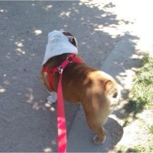 Meet your Posher, Briana